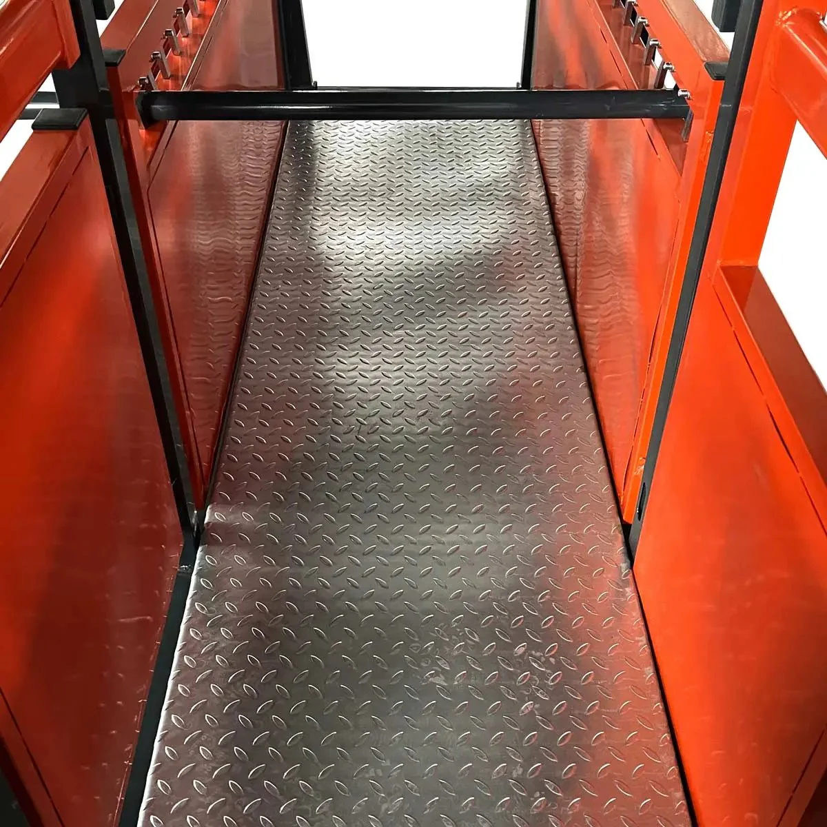 3m (10’) Cattle Work Chute, 2040 kg (4500 lb) Weight Scale, Side Exit, Upper/Lower Swing Openings, TMG‑CSC10 - Image 10