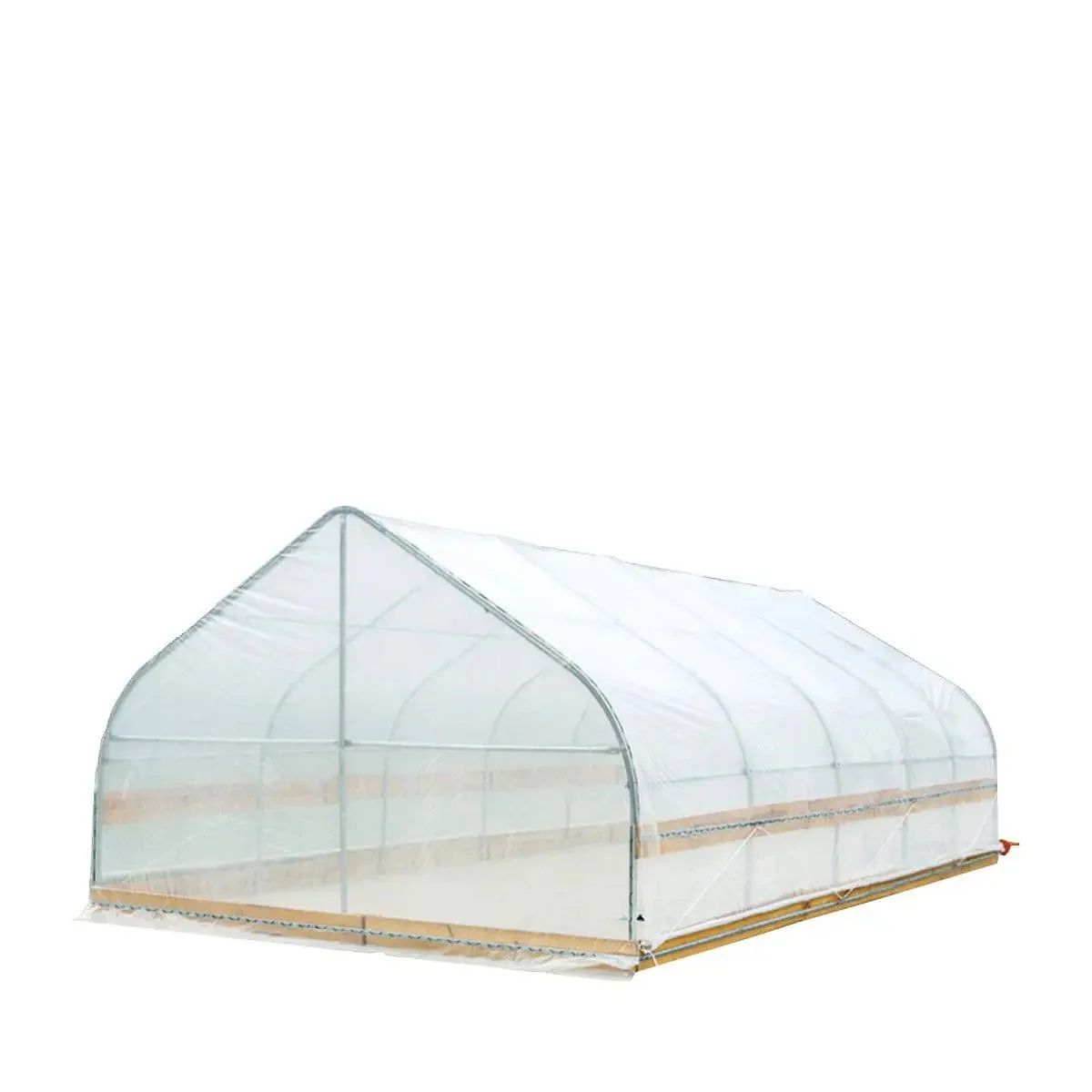 3.7 x 6.5 m Tunnel Greenhouse Grow Tent with 6 Mil Clear EVA Film, Roll-Up Sides, TMG-GH1220 - Image 6