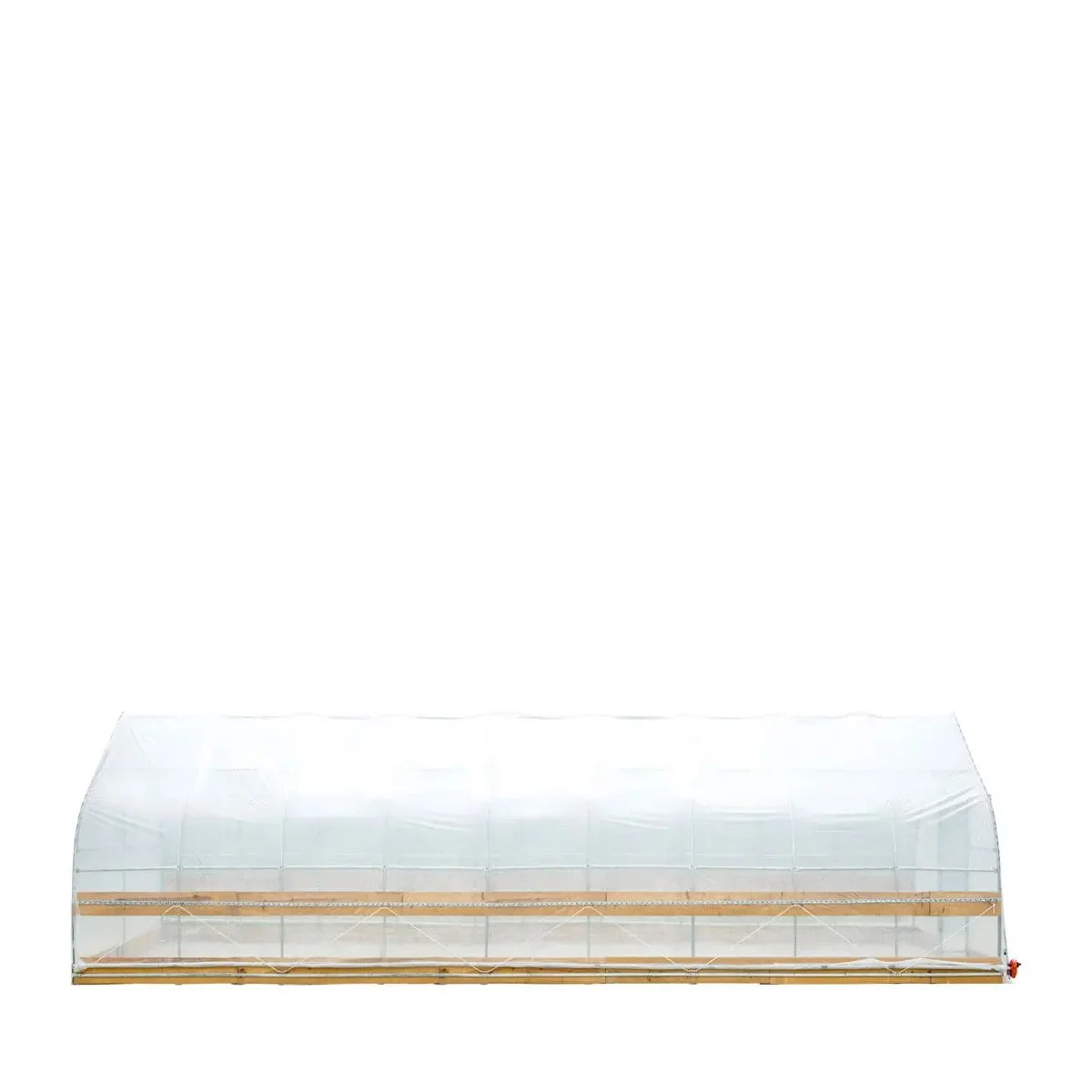 3.7 x 12 m Tunnel Greenhouse Grow Tent with 6 Mil Clear EVA Film, Roll-Up Sides, TMG-GH1240 - Image 2